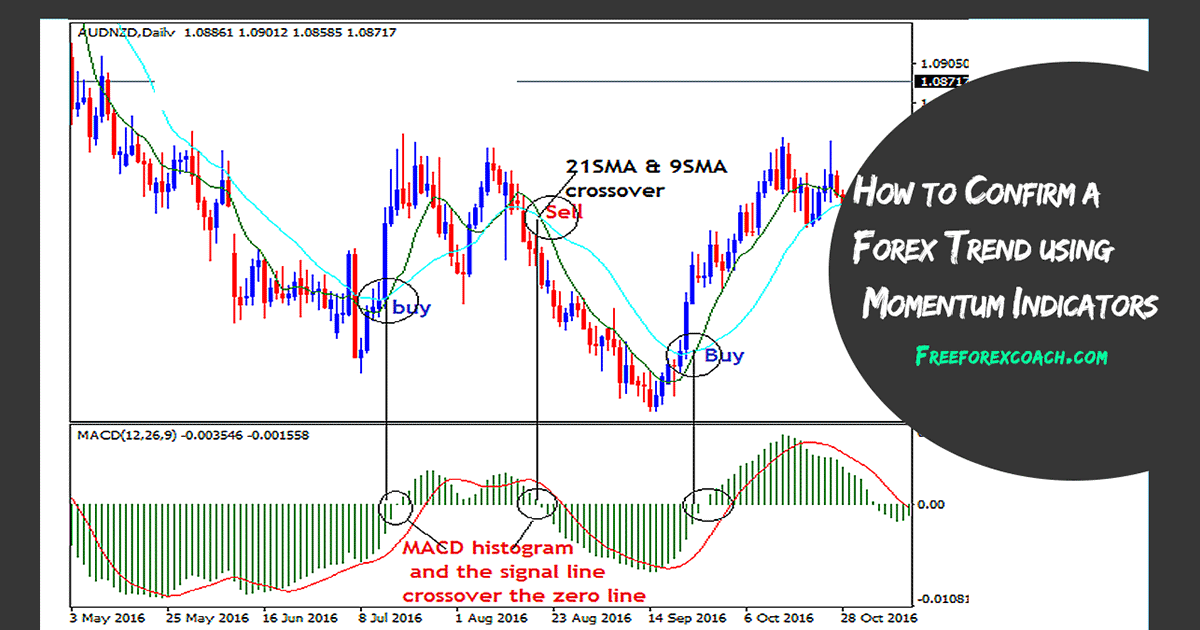 How to Confirm a Trend using Momentum Indicators in Forex