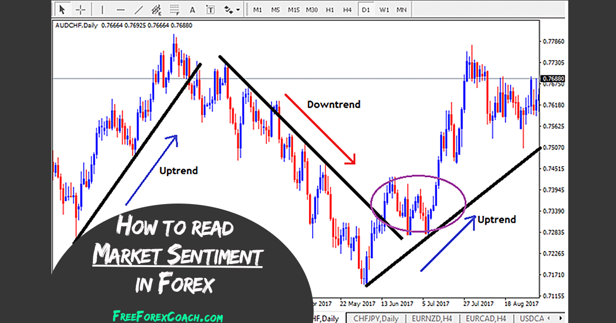 Forex Market Sentiment Analysis - FreeForexCoach.com